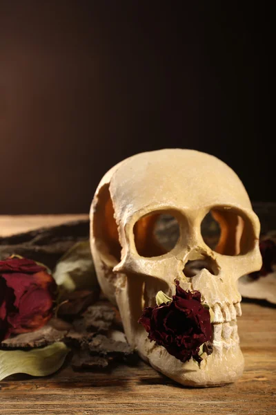 Calavera humana con rosa seca — Foto de Stock