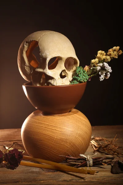 Human skull with dried rose — Stock Photo, Image