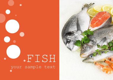 buz üstünde taze deniz ürünleri