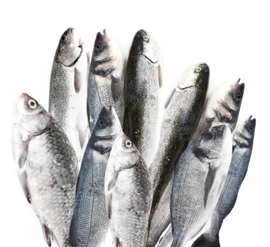 Beyazlar üzerinde taze balık.