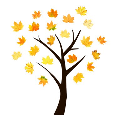 sonbahar ağaç üzerinde beyaz izole