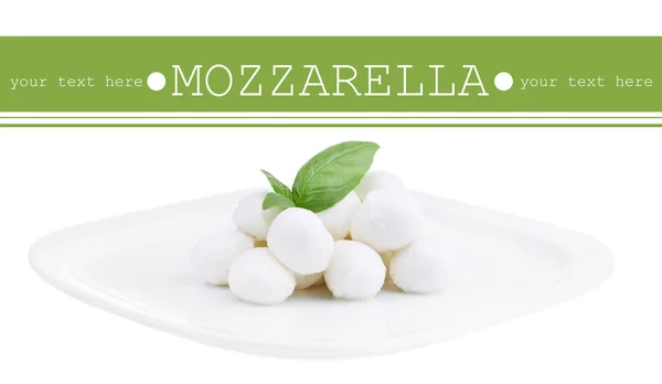 Lezzetli mozzarella peyniri Fesleğenli plaka üzerinde — Stok fotoğraf