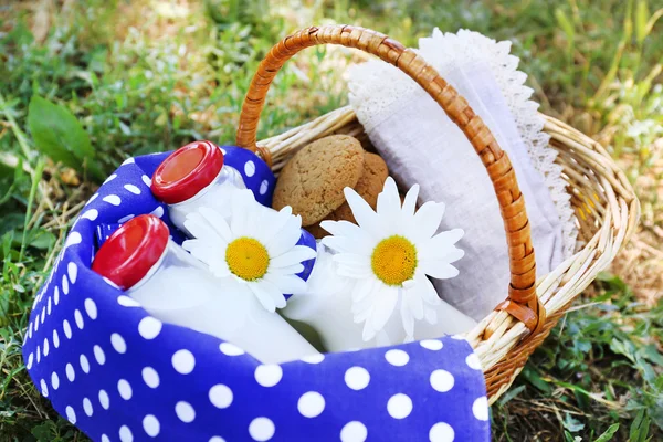 Snack savoureux dans le panier sur fond herbeux — Photo