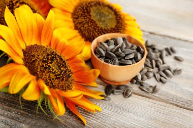 Ayçiçeği ve tohum kase