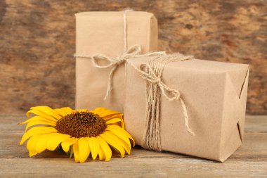 Ayçiçeği mevcut kutuları ile