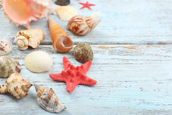 Seashells on wooden table, close-up — Stock Photo, Image