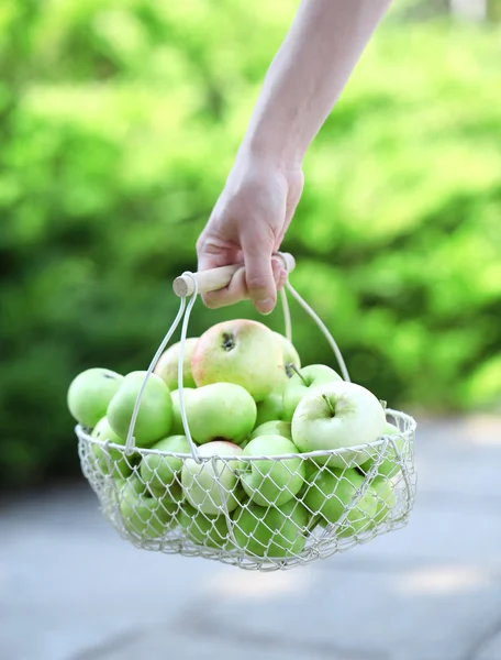 女孩抱着篮子里的苹果在户外 — 图库照片
