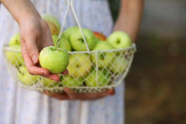 Mädchen hält Korb mit Äpfeln im Freien — Stockfoto