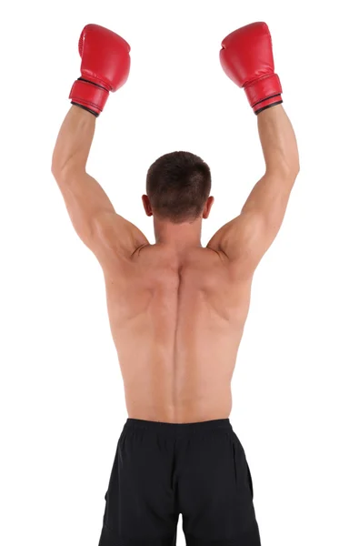 Junger muskulöser Sportler mit Boxhandschuhen auf weißem Untergrund — Stockfoto