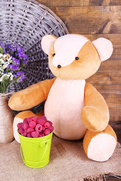 Funny Toy bear — Stock Photo, Image