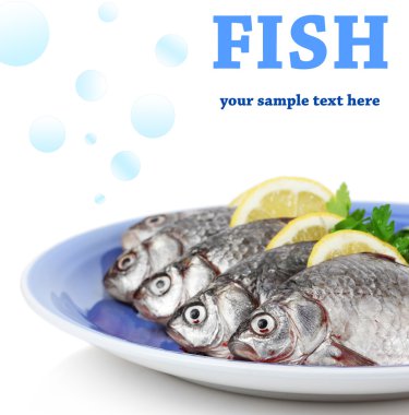 maydanoz ve limon ile taze balıklar