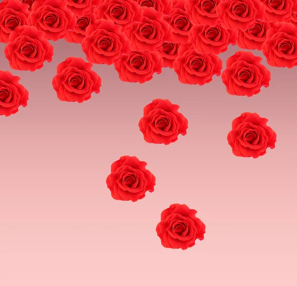 Beautiful red roses on pink background — Stock Photo, Image