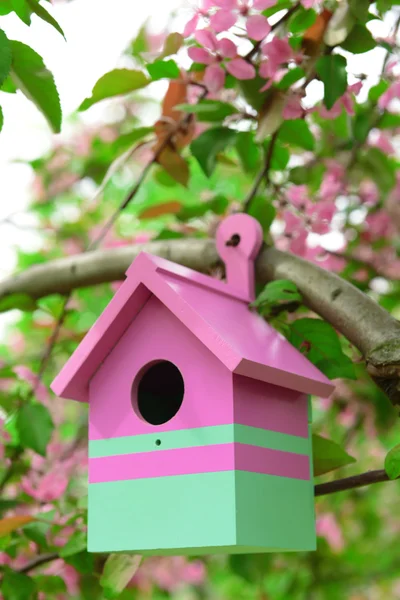 Casa de pájaros en el jardín de verano — Foto de Stock