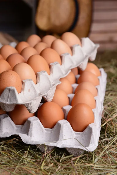 Eier in Papierschalen auf dem Tisch in Großaufnahme — Stockfoto