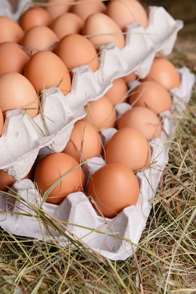 Eggs in paper trays on table close-up