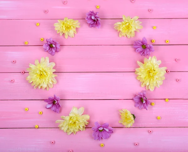 Schöne Chrysanthemenblüten auf rosa Holzgrund — Stockfoto