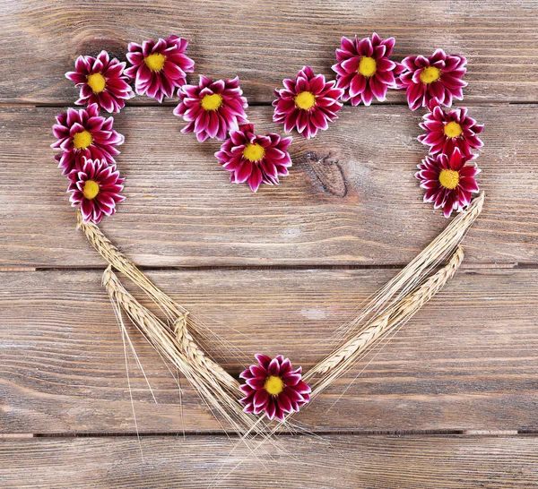 Beautiful chrysanthemum flowers on brown wooden background — Stock Photo, Image