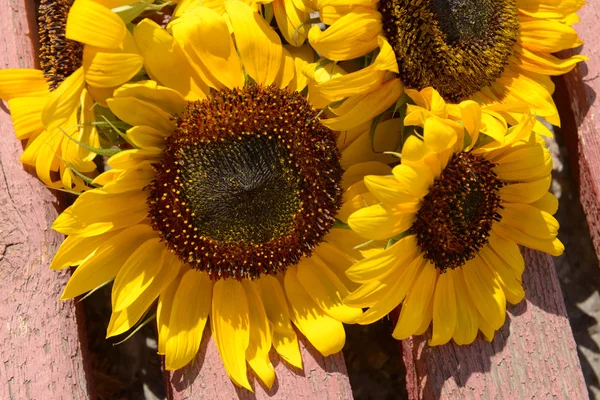 Schöne Sonnenblumen auf Holzbank im Freien — Stockfoto