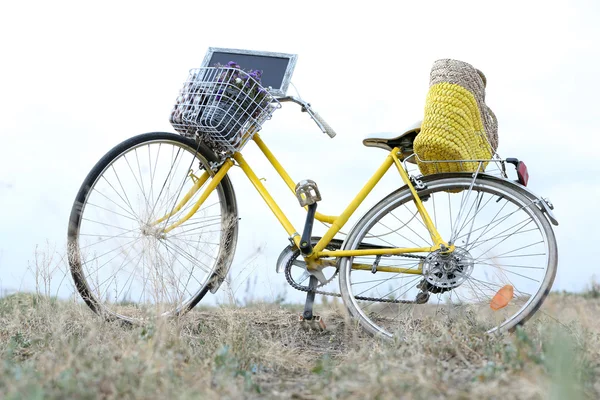 在日落期间草甸的自行车 — 图库照片