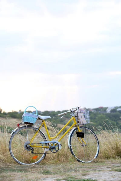 Bicicleta no prado durante o pôr do sol — Fotografia de Stock