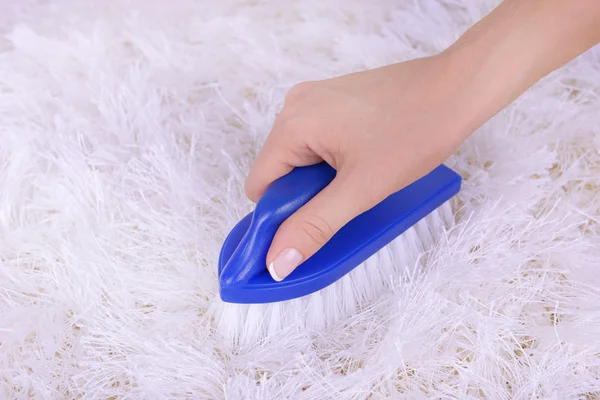 Cleaning carpet with brush close up — Stock Photo, Image