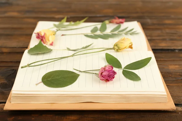 Secar las plantas en el cuaderno sobre el fondo de madera — Foto de Stock