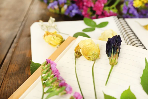 Composición con flores y secar las plantas en cuadernos en la mesa de cerca — Foto de Stock
