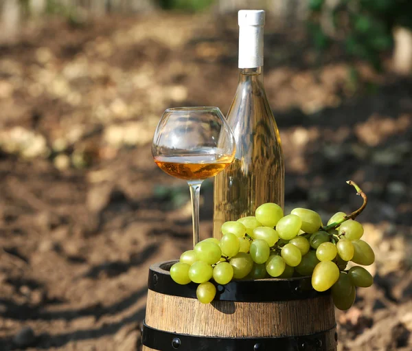 Trä fat, grape och flaska vin på druva plantation bakgrund — Stockfoto