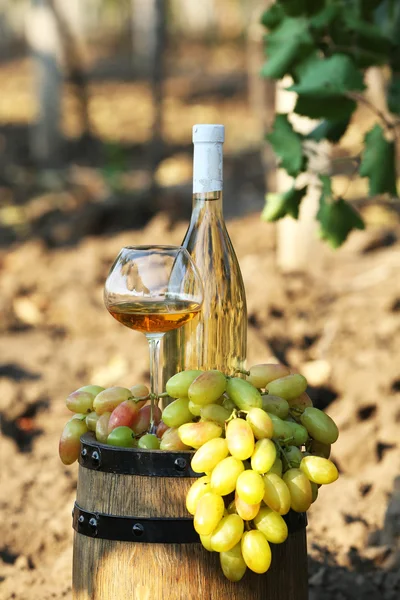 Cálice e garrafa de vinho com uva em barril de madeira no fundo da plantação de uva — Fotografia de Stock