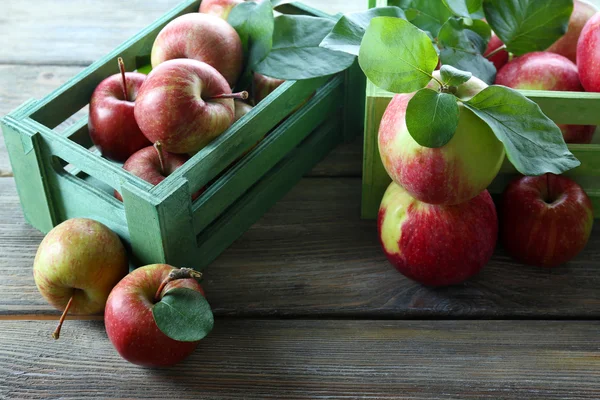 Juicy apples in box, close-up — Stock Photo, Image