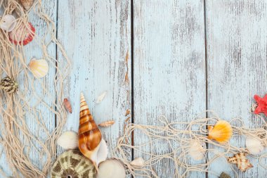 Ahşap arka planda deniz kabukları