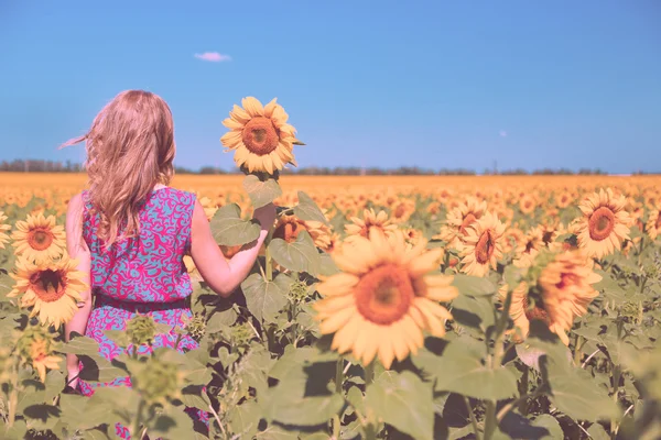 Giovane donna nel campo di girasole — Foto Stock