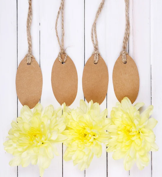 Beautiful chrysanthemum flowers and empty tags on white wooden background — Stock Photo, Image