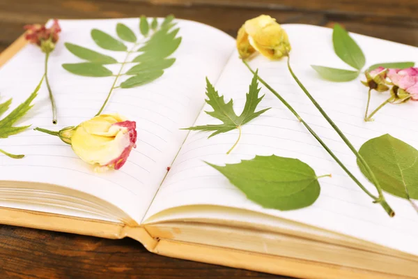 Dry up plants on notebook on wooden background — Stock Photo, Image