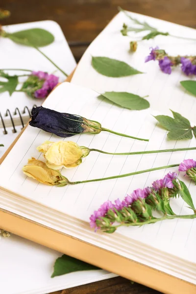 Seque fábricas no caderno na mesa de perto — Fotografia de Stock