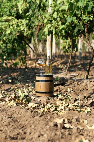Wooden barrel and bottle of wine on grape plantation background — Stock Photo, Image