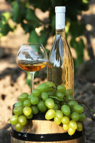 Cálice e garrafa de vinho com uva em barril de madeira no fundo da plantação de uva — Fotografia de Stock