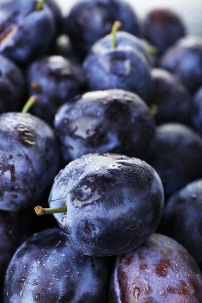 Maturare le prugne dolci, chiudere — Foto Stock