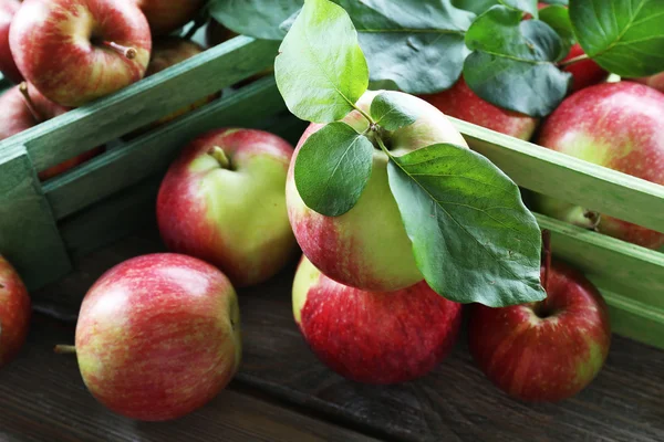 Juicy apples in box, close-up — Stock Photo, Image