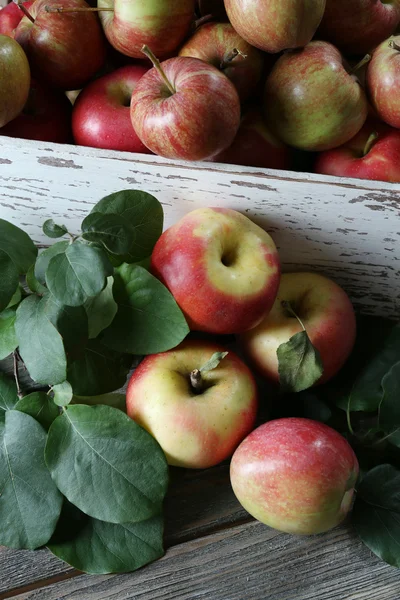 Pommes juteuses en boîte, gros plan — Photo