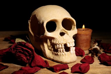 Kurutulmuş gül yaprakları ile insan kafatası