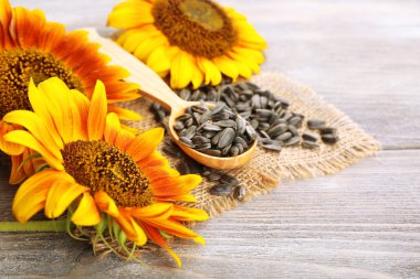 Ayçiçeği ve ahşap zemin üzerine kaşıkla tohumlar