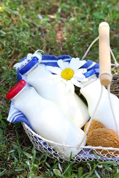 Gustoso spuntino in cesto su fondo erboso per trascorrere un bel weekend in un parco — Foto Stock