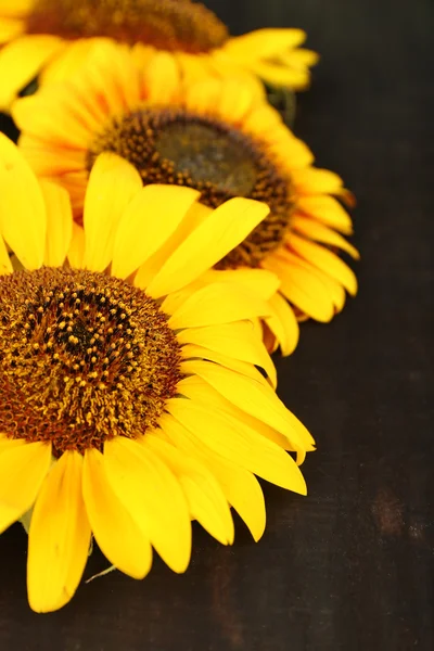 Hermosos girasoles sobre fondo de madera — Foto de Stock