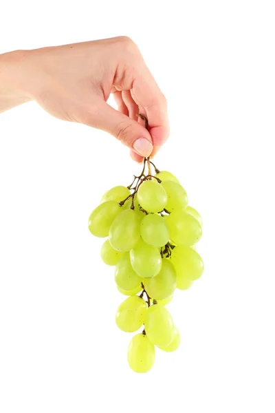 Green grape in hand isolated on white — Stock Photo, Image