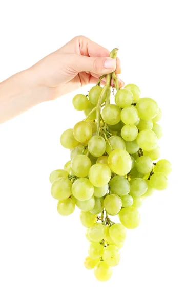 Green grape in hand isolated on white — Stock Photo, Image