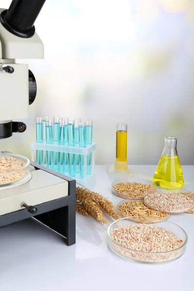 Микробиологическое тестирование качества пищевых продуктов в биотехнологической лаборатории — стоковое фото