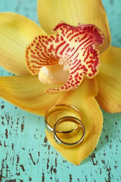 Anillos de boda y flor de orquídea, primer plano, sobre fondo de madera de color — Foto de Stock