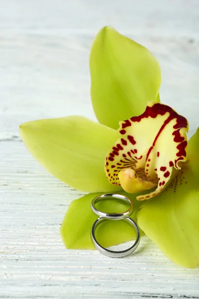 Wedding rings and orchid flower, close-up, on color wooden background — Stock Photo, Image