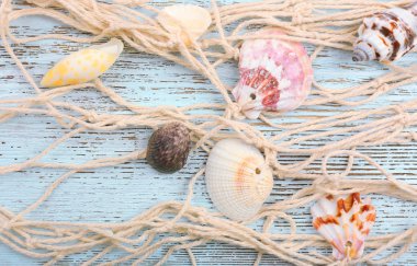 Ahşap arka planda deniz kabukları